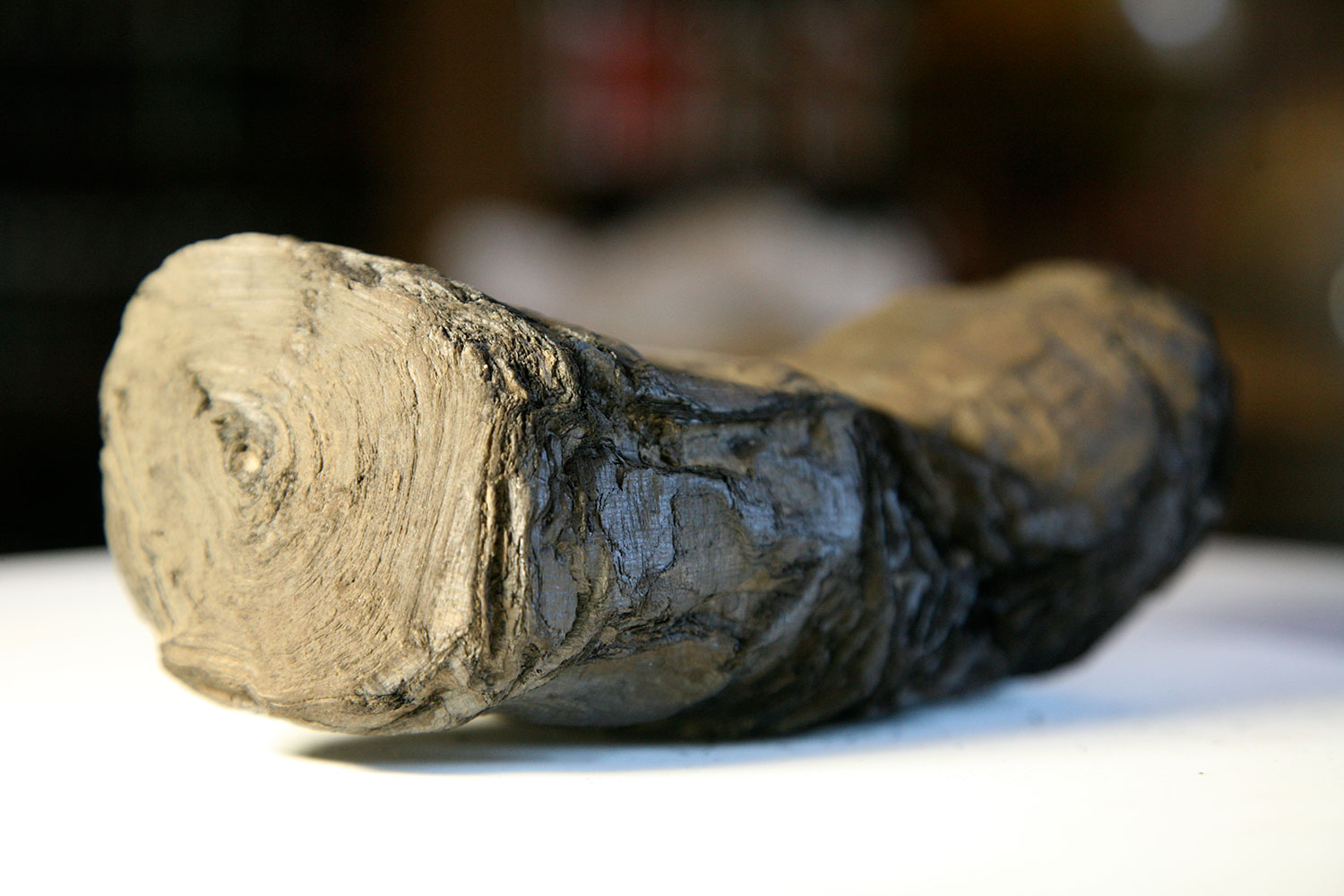 Carbonized Herculaneum Scroll