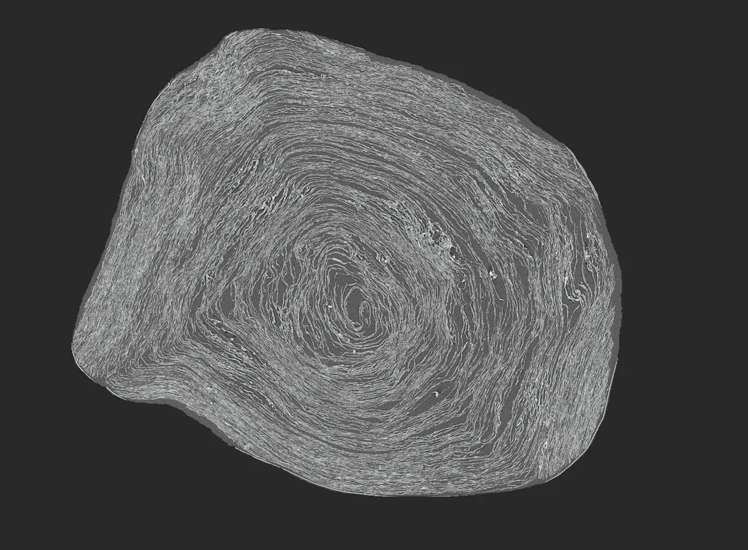 Image of Pherc. 172 from a micro-CT scan Vesuvius Challenge